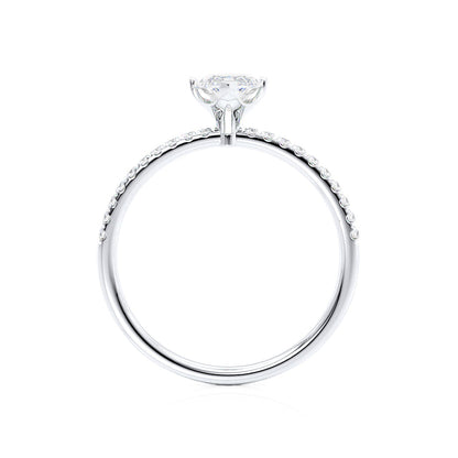 LAW366